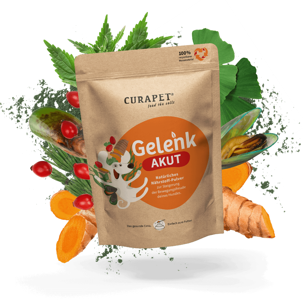 GelenkAkut