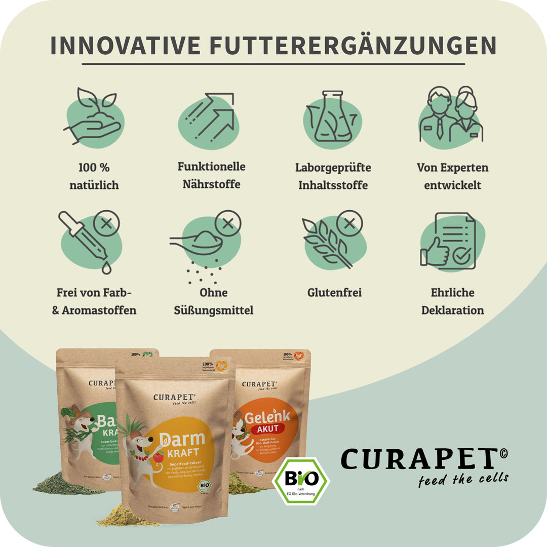 Bio ImmunKraft