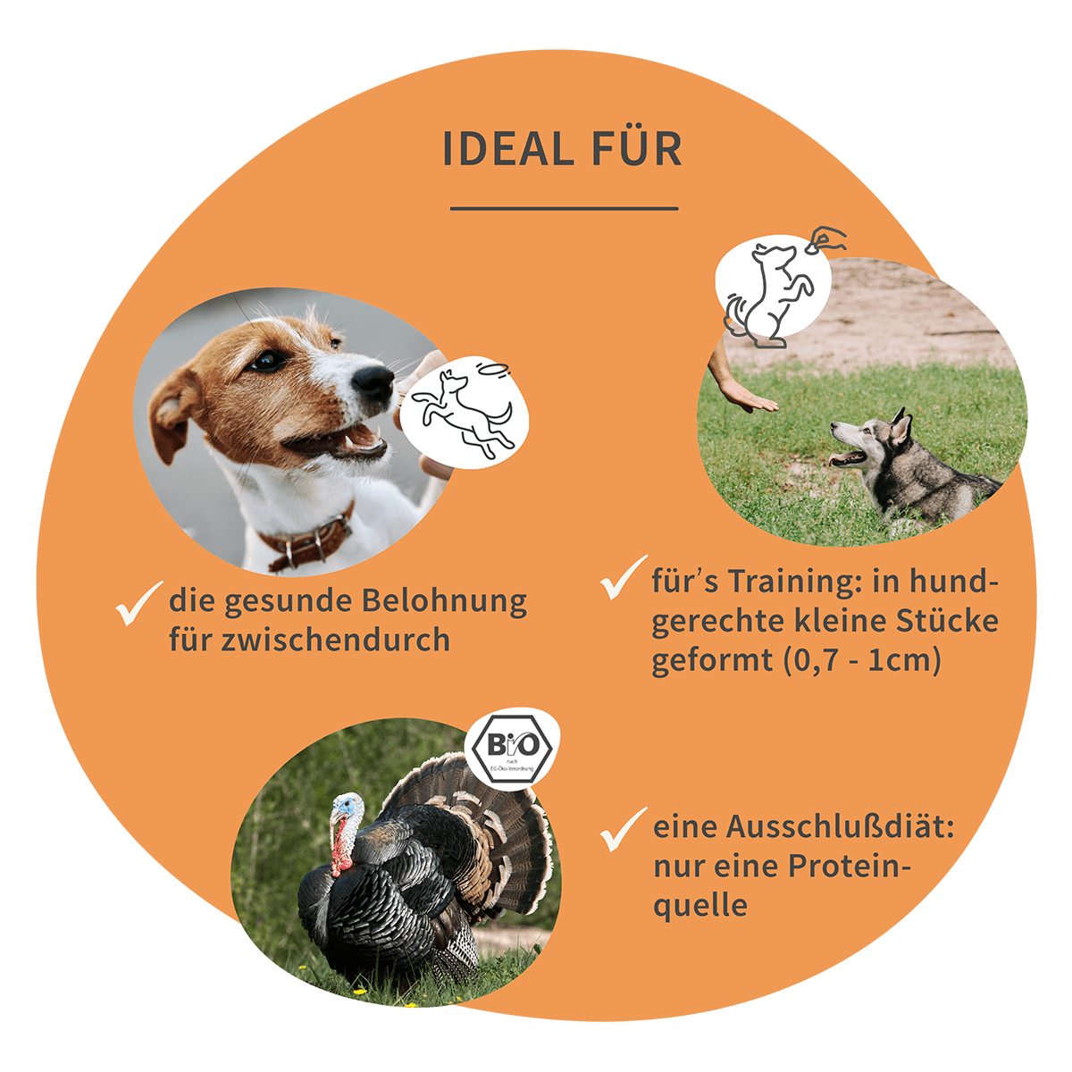 Bio Puten Bites