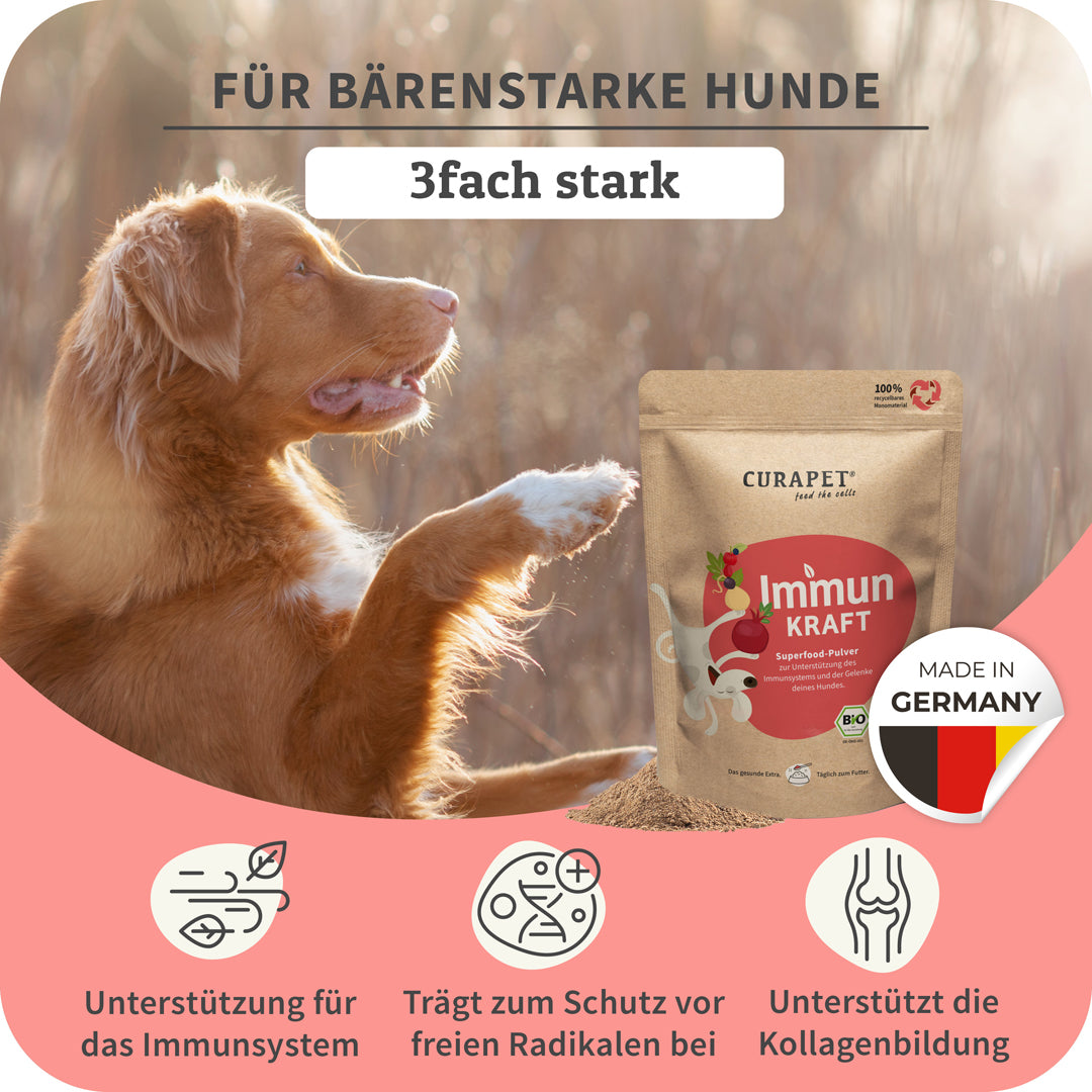 Bio Hundum-sorglos-Paket